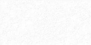 TWU2550MLN10 плитка облицовочная рельефная Милони / Miloni 249*500 (9 шт в уп/63.897 м в пал)