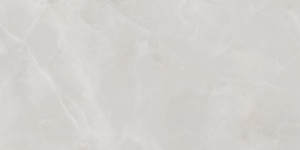 TWU09RVL007 плитка облицовочная Риволи / Rivoli 249*500 (12 шт в уп/80,676 м в пал)