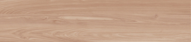 GP2090DEN11R GP2090DEN11R