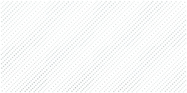 Confetti Blanco DW9CFT00 Декор 249*500 (500*250*9)