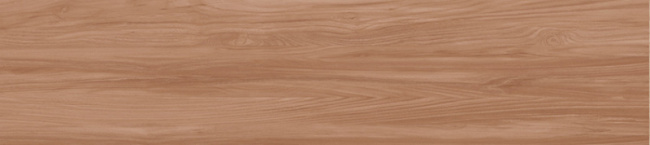 GP2090DEN21R GP2090DEN21R